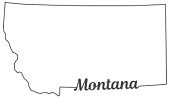 Montana Professional Stamps and Seals
